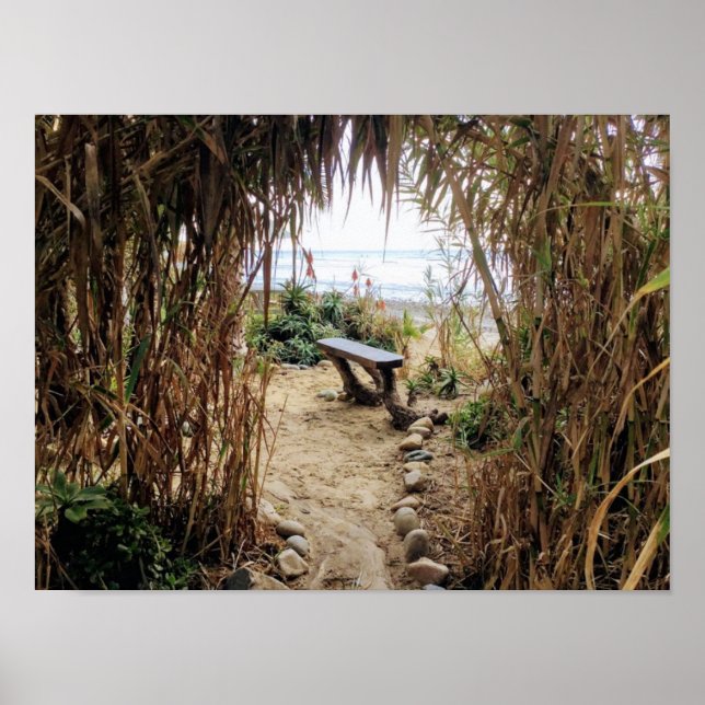 Gamle mans Beach-San Onofre State Beach Poster (Framsidan)