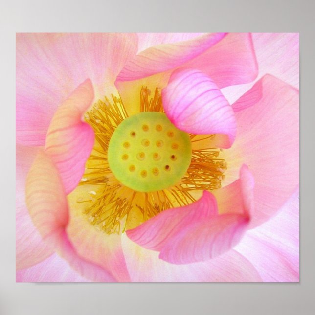 Gammad försiktigt poster (Framsidan)