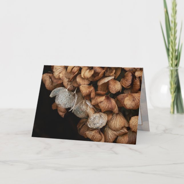 Gammad Hydrangea Kort (Framsida)