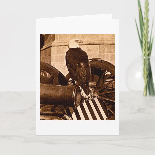 Gammal Abe-The Wisconsin krigörn Stereoview ca Kort (Framsida)