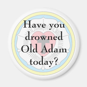 Gammal Adam magnet