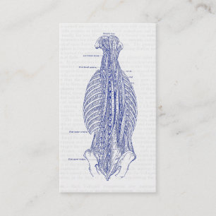 Gammal anatomiillustration baksidaen visitkort