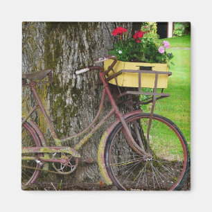 Gammal antik cykel med blommabasketen magnet