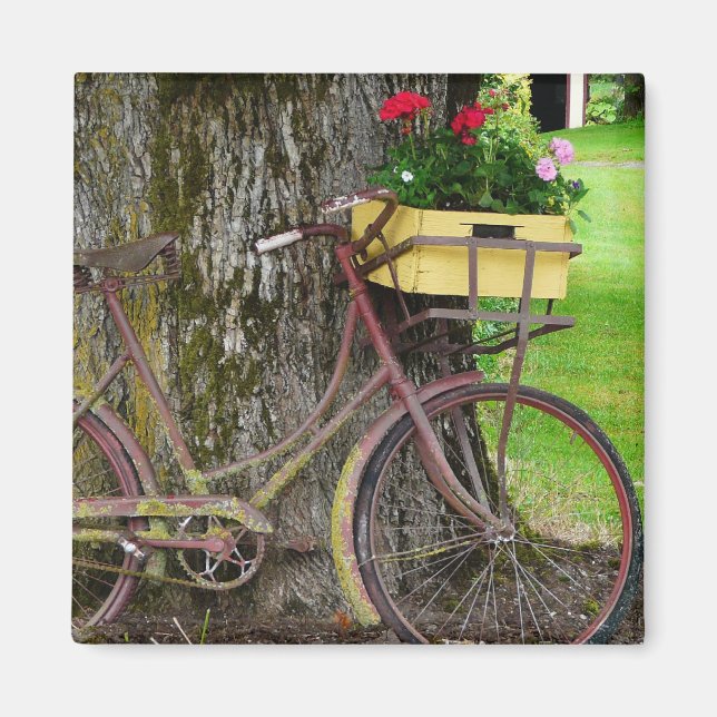 Gammal antikisk cykel med blomma Basket Magnet (Framsidan)