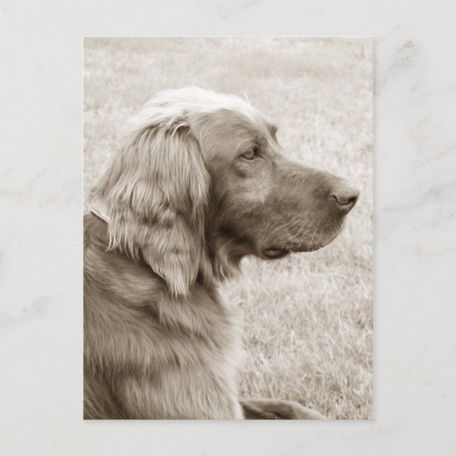 Gammal blå vykort (Framsida)