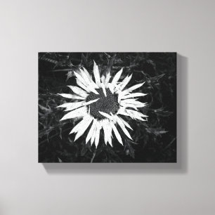 Gammal blomma canvastryck