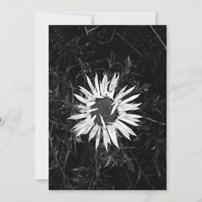 Gammal blomma inbjudningar (Framsida)