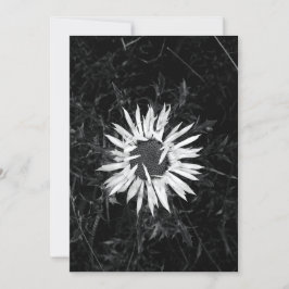 Gammal blomma inbjudningar