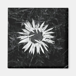 Gammal blomma magnet