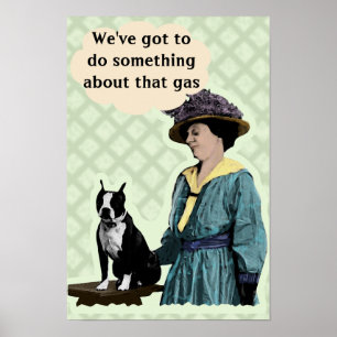 Gammal Bostonterrier Poster