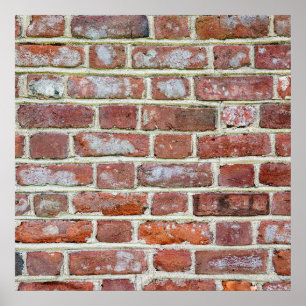 Gammal brickmur poster