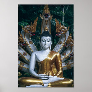 gammal buddha poster