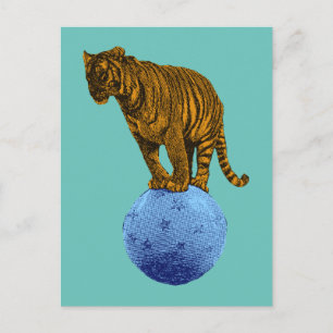 Gammal Cirkus Tiger Vykort