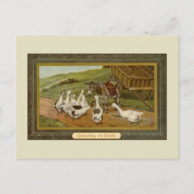 Gammal djurbokillustration Konsulterar oraklet Vykort (Framsida)