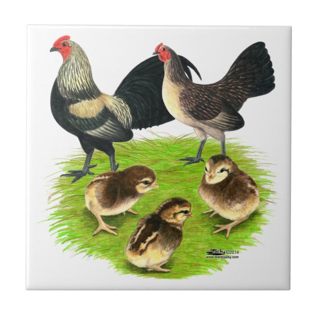 Gammal engelsk familj för BantamBrassybaksida Kakelplatta (Framsidan)