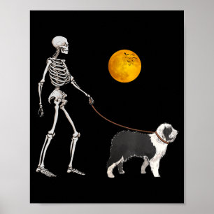 Gammal engelsk herdehund skelett hund promenad poster