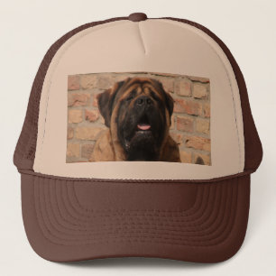 gammal engelsk Mastiff Keps