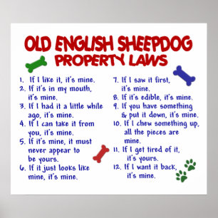 GAMMAL ENGELSK SHEEPDOG PL2 POSTER