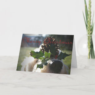 Gammal engelsk Sheepdogjul Helgkort