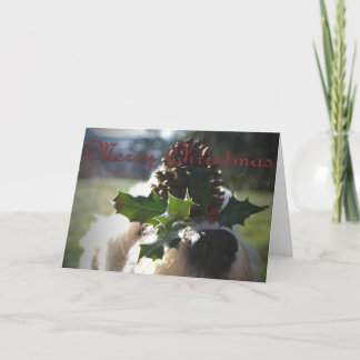 Gammal engelsk Sheepdogjul Helgkort