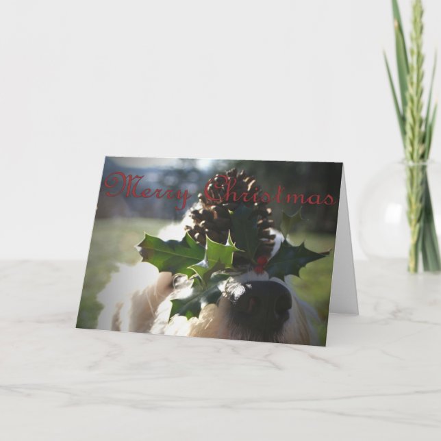 Gammal engelsk Sheepdogjul Helgkort (Framsida)