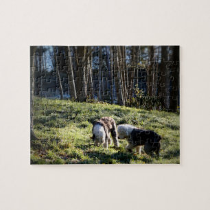 Gammal engelsk Sheepdogsagaskog Pussel