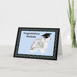 Gammal engelsk Sheepdogstudenten Kort