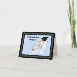 Gammal engelsk Sheepdogstudenten Kort