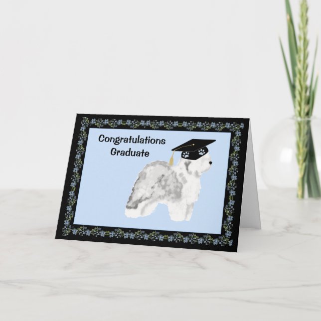 Gammal engelsk Sheepdogstudenten Kort (Framsida)