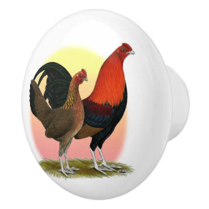 Gammal engelsk spelbantam: BB Red Knopp