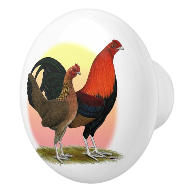 Gammal engelsk spelbantam: BB Red Knopp (Höger)