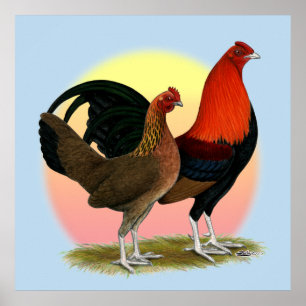 Gammal engelsk spelbantam: BB Red Poster
