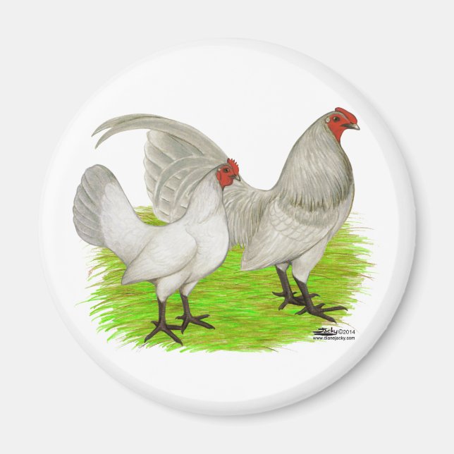Gammal engelsk spelselblått magnet (Framsidan)