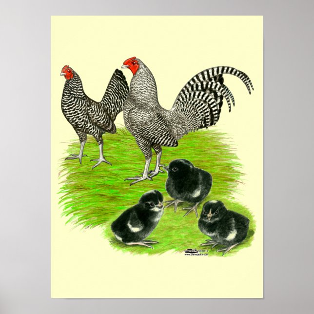 Gammal engelsk tvärbandad dvärghöna familj poster (Framsidan)