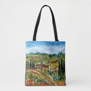 GAMMAL FARM HOUSE IN TUSCANY LANDSCAPE TYGKASSE