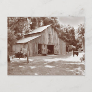Gammal fashiated Barn Postcard i Sepia Vykort