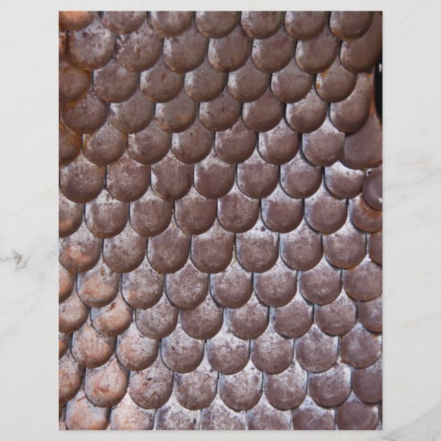 Gammal fjällpansar reklamblad (Framsidan)