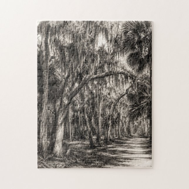 Gammal Florida-ek hammock grafit skiss | Rockledg Pussel (Vertikal)