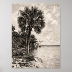 Gammal Floridas strandlinje Grafit skiss Rockled Poster