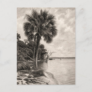 Gammal Floridas strandlinje Grafit Skiss | Rockled Vykort