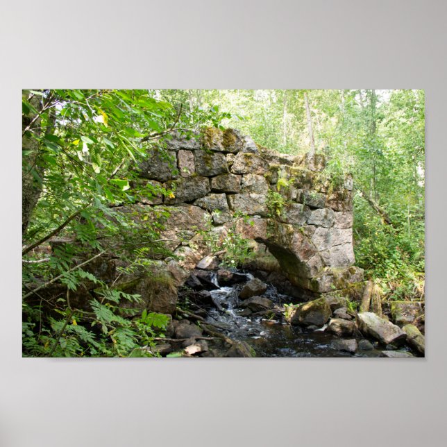 Gammal förstörd bro i skogen poster (Framsidan)