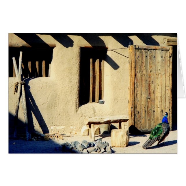 Gammal fortpåfågel för böjelser hälsningskort (Framsidan Horizontal)