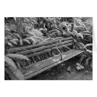 Gammal Garden Bench i monokroma kort