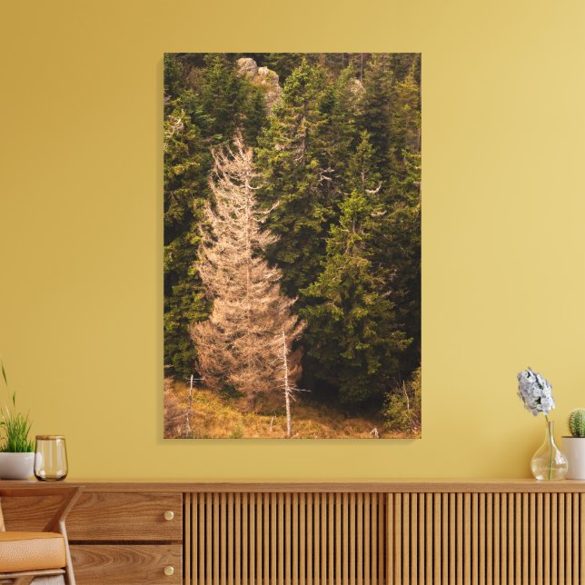 Gammal gran står stolt canvastryck (Insitu (Vardagsrum))