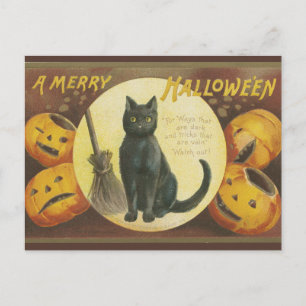 Gammal halloween-kort med pumpor och katt helg vykort
