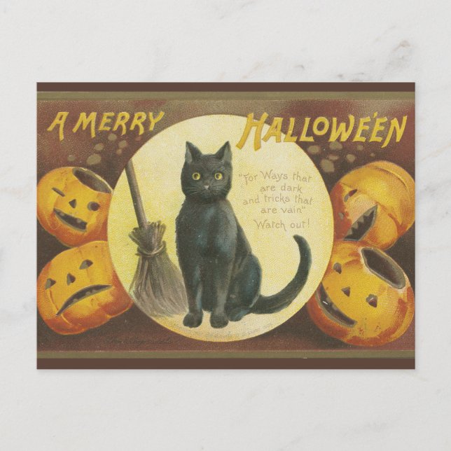 Gammal halloween-kort med pumpor och katt helg vykort (Framsida)
