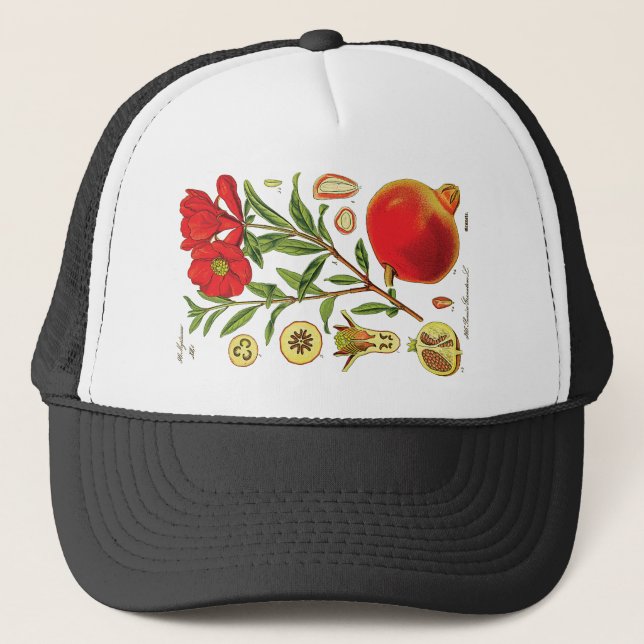 Gammal illustration av granatäpple keps (Framsida)