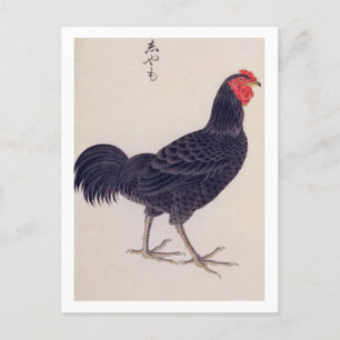 Gammal illustration: Shamo-höns Vykort