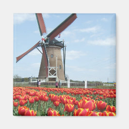Gammal japansk Kvarn Magnet