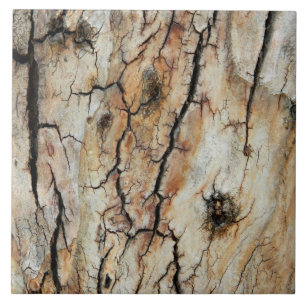 Gammal knäckt wood naturlig trädskällbild kakelplatta